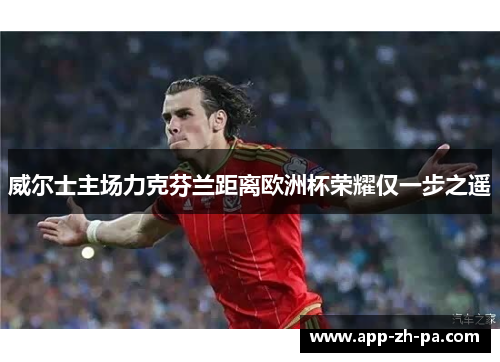 威尔士主场力克芬兰距离欧洲杯荣耀仅一步之遥